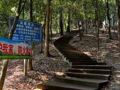-滴水岩森林公园
