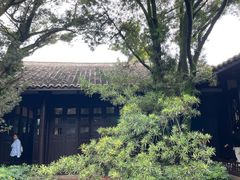 -八大山人梅湖景区