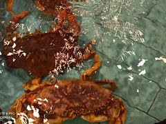 -西贝海鲜汇(槐安路店)