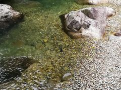 -花岩国家森林公园