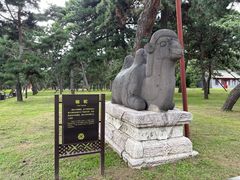 -北陵公园