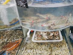 -鑫渔港海鲜本地菜·山海关浑锅(东戴河店)