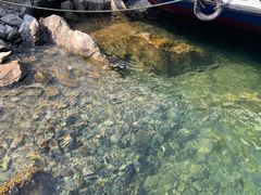 -千岛湖东南湖区