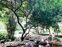 -成都市活水公园