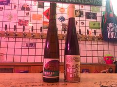 -ZING鲸鱼啤酒(葡萄院店)