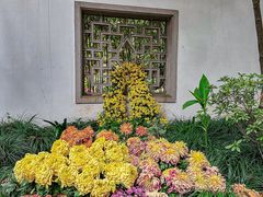 -杭州植物园