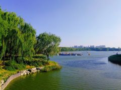 -大兴滨河森林公园