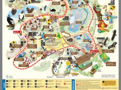 -新加坡飞禽公园