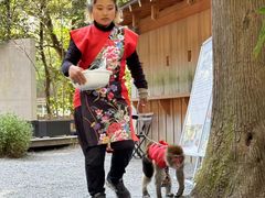 -来宫神社