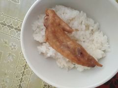 卤翅尖-熊氏卤菜(双元路店)