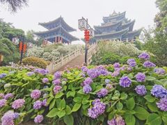 -阅江楼风景区
