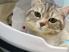 -达爱动物医院·犬猫分区·CT·复杂眼科(远洋山水分院)