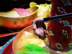 -羊大爷涮肉(亮马桥店)