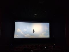 -武汉华夏国际影城(鲁广店)