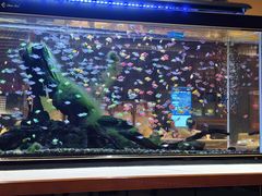 -大江户·温泉洗浴(浑南店)