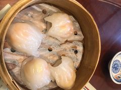 虾饺-捷信牛奶甜品世家(五道口店)