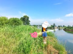 -蒲河岛湿地公园