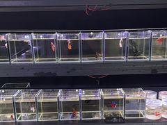 -三旗百汇商品城