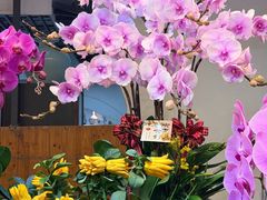 -双季花艺园艺市场(浦东店)