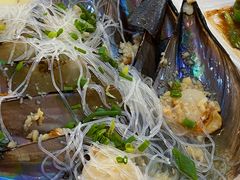 -鸿达渔港