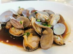 姜葱炒花蛤-骏莱海鲜鱼港(五角场店)