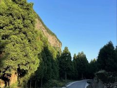 -重庆睡佛山森林公园