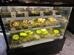 -滇野云南野生菌餐厅(陕西南路店)