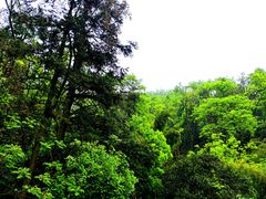 -岳麓山风景名胜区