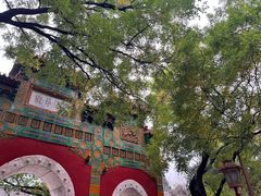 -北京国子监胡同
