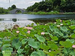 -映月湖公园
