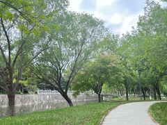 -石家庄市植物园