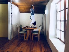 -金山农民画村-枫泾波兰倒置屋