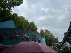-富斯特索道