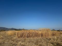 -良渚古城遗址公园