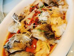 海参斑鱼两食-渔公码头·九龙湾国际饭店
