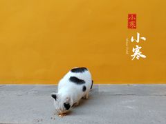 -西园寺