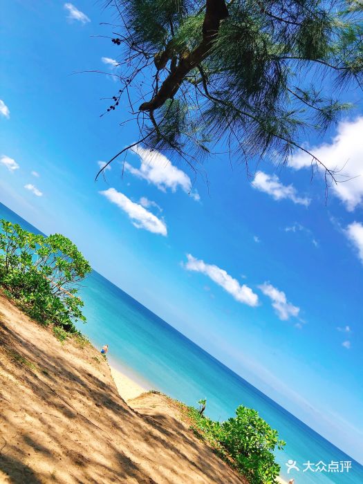 迈考海滩-图片-普吉岛景点-大众点评网
