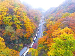 -光雾山旅游景区