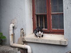 -二楼南书房