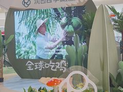-润园四季椰子鸡火锅(南山海岸城店)