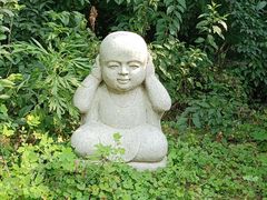-高尔山公园