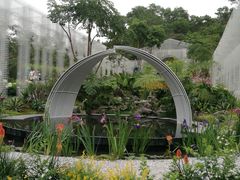 -深圳仙湖植物园