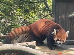 -云南野生动物园