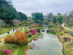 -东莞植物园