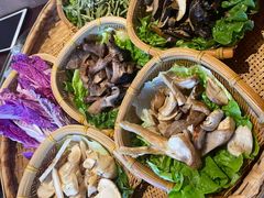 -滇野云南野生菌餐厅(陕西南路店)