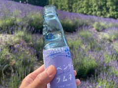-富田农场