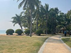 -三亚海棠湾万丽度假酒店