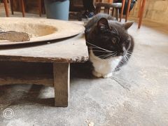 -下面馆
