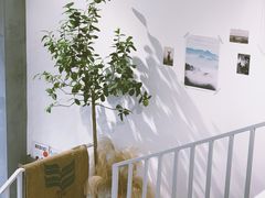 -隹木咖啡馆(宝龙广场店)