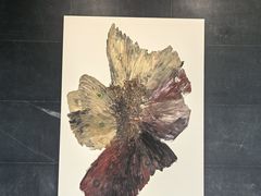 -知美术馆